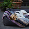 暖暖宠物毯德国cloud7家居，外出狗猫用羊毛，柔软编织防静电petisan