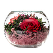泰国进口永生花玻璃罩花束摆件三色红玫瑰干花情人节礼物花瓶