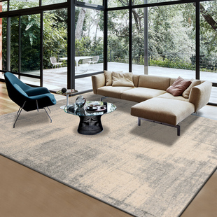 地毯客厅简约现代北欧风卧室茶几，毯ins床边欧式美式家用轻奢地垫