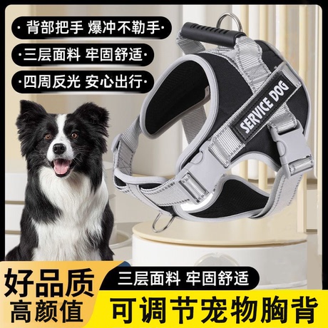 狗背带中型犬