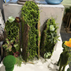 创意树皮多肉苔藓摆放仿真植物艺术花盆花园橱窗布景装饰绿植花艺