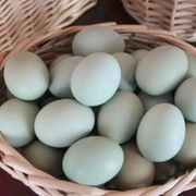 自然散养绿壳鸡蛋30枚新鲜土鸡蛋 宝宝营养健康 乌鸡原生态蛋