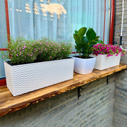 阳台花盆种菜神器长方形，花箱懒人自吸水种植箱护栏架悬挂花盆塑料