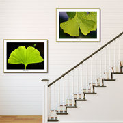 植物树叶装饰画现代家居有框画过道，走廊单幅背景，画餐厅客厅挂画