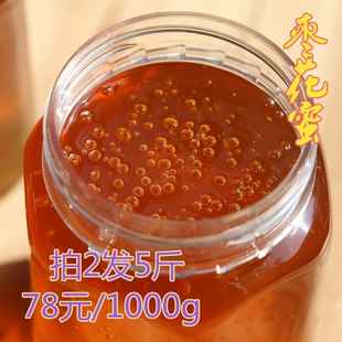 枣花蜜纯天然农家自产自销原蜜两斤孕妇红枣蜂蜜成熟土蜂蜜