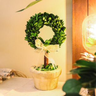 创意盆栽花卉植物办公室内绿植，客厅桌面盆景，情人节礼物永生花干花