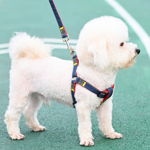 狗狗牵引绳大型中型小型犬狗链子狗项圈泰迪，金毛遛狗绳子宠物用品