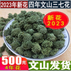 2023年新三七(新三七)花茶云南文山特产三七花，田七花茶100500克