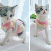 猫咪衣服小奶猫可爱秋冬装泰迪博美吉娃娃，1斤内xxs茶杯犬奶狗衣服