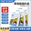 带背胶相纸相片纸适用佳能惠普爱普生a4喷墨不干胶打印纸6寸六寸大头贴照，片纸5寸7寸8寸a5a6相册纸a3自粘贴纸