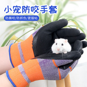 宠物防咬手套养仓鼠金丝，熊鼠松小动物防抓清洁卫生一次性透明手套