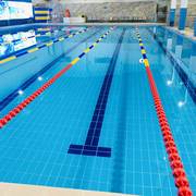地中海标准游泳池专用瓷砖陶瓷，115x240蓝色体育馆学校，室内水池砖