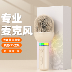 音响一体麦克风家庭k歌无线电视