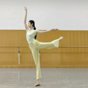 夏季成人现代舞蹈服短袖上衣练功专业考级中国古典跳舞女修身瑜伽