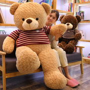 正版泰迪熊猫公仔乖乖毛衣，熊毛绒(熊毛绒)玩具魔，圈绒熊布娃娃生日礼物女生