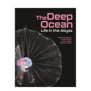 英文原版 深海中的生命 The Deep Ocean Life in the Abyss 英文社会科学 正版进口书籍 善本图书