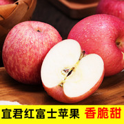 陕西宜君县新鲜红富士苹果脆甜10斤整箱