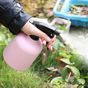浇花小喷壶喷雾瓶家用多肉浇水室内绿植洒水园艺工具气压式喷水壶