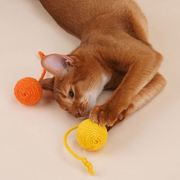 可悬挂猫玩具逗猫自嗨解闷逗猫棒耐咬小猫幼猫玩具猫咪玩具麻绳球