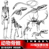 动物骨骼三维软件建模设计生物骨头化石骨架人骨骼3D立体模型文件