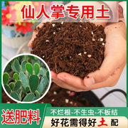 仙人掌专用土多肉通用型种植土养花营养土花土种花土壤盆栽花泥