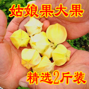 新鲜水果菇娘果 黄菇茑甜灯笼果酸甜可口2斤