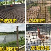 速发塑料网格养殖网围栏拦鸡栅栏小孔养鸡网围栏网防护隔离网家用