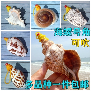 大海螺螺号哨子儿童玩具海螺口哨贝壳工艺品可吹号角送儿童小礼物