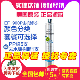 授权专卖23年美国爱惠浦EF-900P净水器滤芯家用直饮机