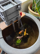 鱼缸过滤器净水循环三合一系统配件养鱼用品大全龟滴流盒周转箱箱