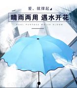 遇水开花晴雨伞折叠两用遮阳黑胶，防晒紫外线免可以免费印logo广告