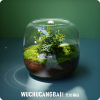玻璃瓶里的小花园苔藓微景观花解压桌面鲜活绿植生态情侣礼物