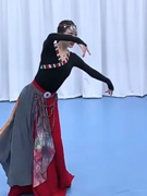 藏族舞蹈演出服装广场舞大摆裙女分体少数民族蒙古成人艺考表演服