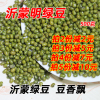 沂蒙山新鲜大明绿豆500克绿豆粥汤配料(汤配料)易煮烂可发豆芽不去皮绿豆