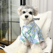 狗狗衣服小型犬夏季雪纳瑞泰迪薄款衬衫网红狗狗小清新风衣服