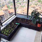 楼顶阳台种菜盆 家庭特大塑料花盆长方形 蔬菜种植箱专用花箱花槽