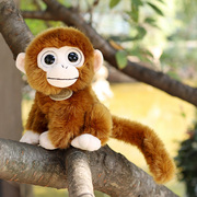仿真动物小猴子金丝猴，毛绒玩偶公仔大眼，猴布娃娃生日动物园伴手