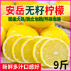 四川安岳黄柠檬(黄柠檬)新鲜无籽皮薄一级奶，茶店专用香水柠檬青柠产地直发