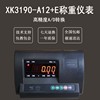 地磅仪表显示器上海耀华xk3190a—a12e地畜牧电子秤，3吨30吨地磅头