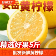 全网奶茶店专用新鲜黄(新鲜黄)柠檬安岳柠檬5斤整箱