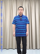 短袖T恤男29桑蚕丝71棉 普洛克 蓝色条纹 舒适商务休闲针织衫