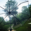 韩国透明雨伞折叠全自动伞，自开自收三折男女学生晴雨伞小清新加厚
