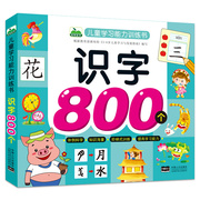 儿童学习能力训练书 识字800个 幼小衔接幼儿园大班升一年级教材学龄前儿童学字大王3-6岁宝宝学前阅读认字书籍幼升小入学早教书