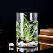 透明加厚玻璃瓶客厅摆件大号直筒插花家居富贵竹鱼缸