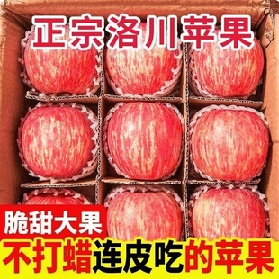 洛川苹果新鲜水果冰糖心红富士丑苹果5斤/9斤多规格可选烟台