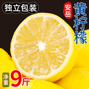 四川安岳黄柠檬新鲜水果皮薄当季整箱奶茶店专用香水甜青柠檬