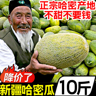 正宗新疆吐鲁番哈密瓜10斤网纹，瓜新鲜当季水果甜瓜，香瓜蜜瓜西州蜜