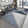 客厅地毯现代简约家用大面积沙发茶几地垫满铺北欧灰色卧室床边毯