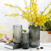 复古玻璃花瓶透明大号特大富贵竹，水养水培家用欧式北欧创意简约