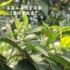 苦橙花纯露 提亮肤色 单方私人鲜花纯露定制采露人工作室提取